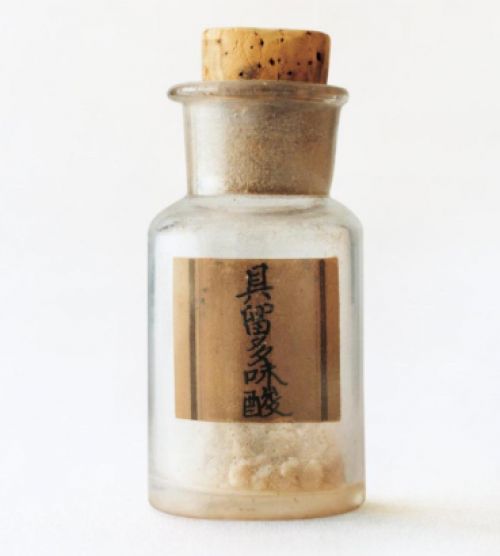 glutamic acid được chiết xuất bởi kikunae ikeda glutamic acid được chiết xuất bởi kikunae ikeda